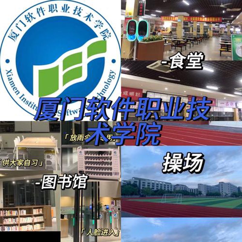 构建高效企业管理系统：开发技巧与应用